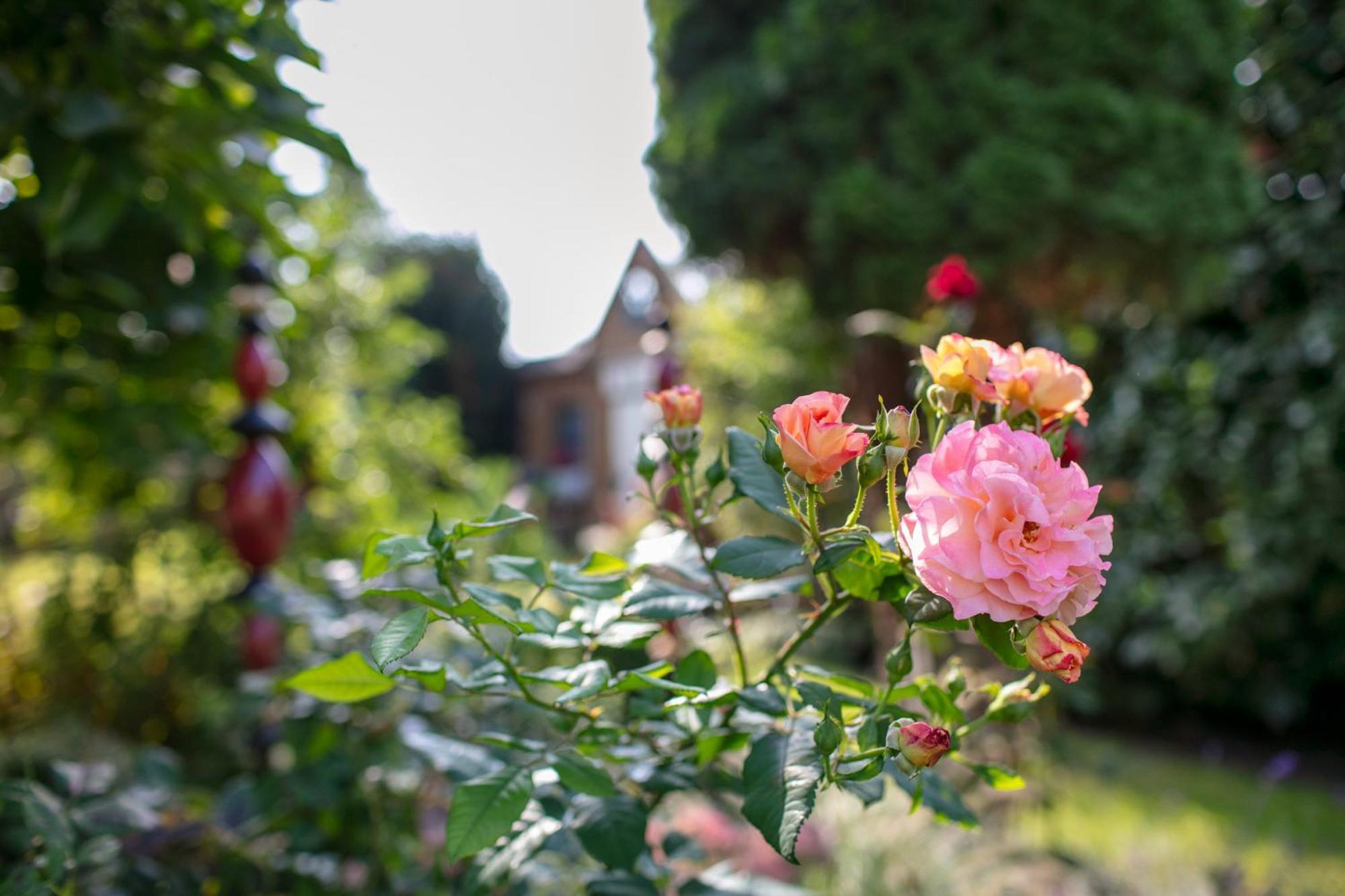 Ferienhaus Jasmin Neuruppin Esterno foto